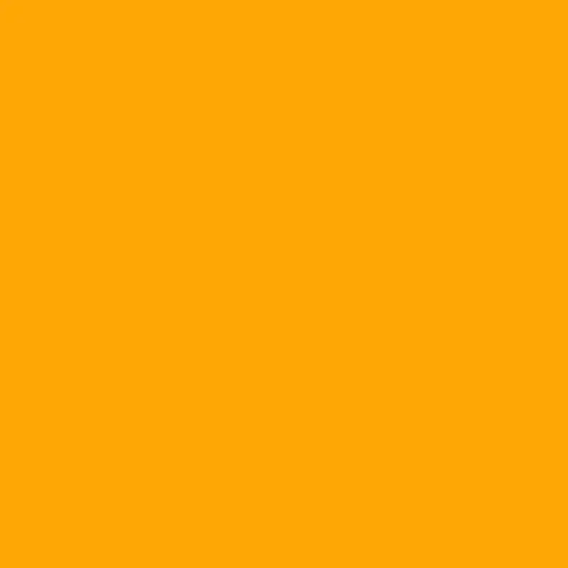 2018 Mandarin Orange Satin Paint 1
