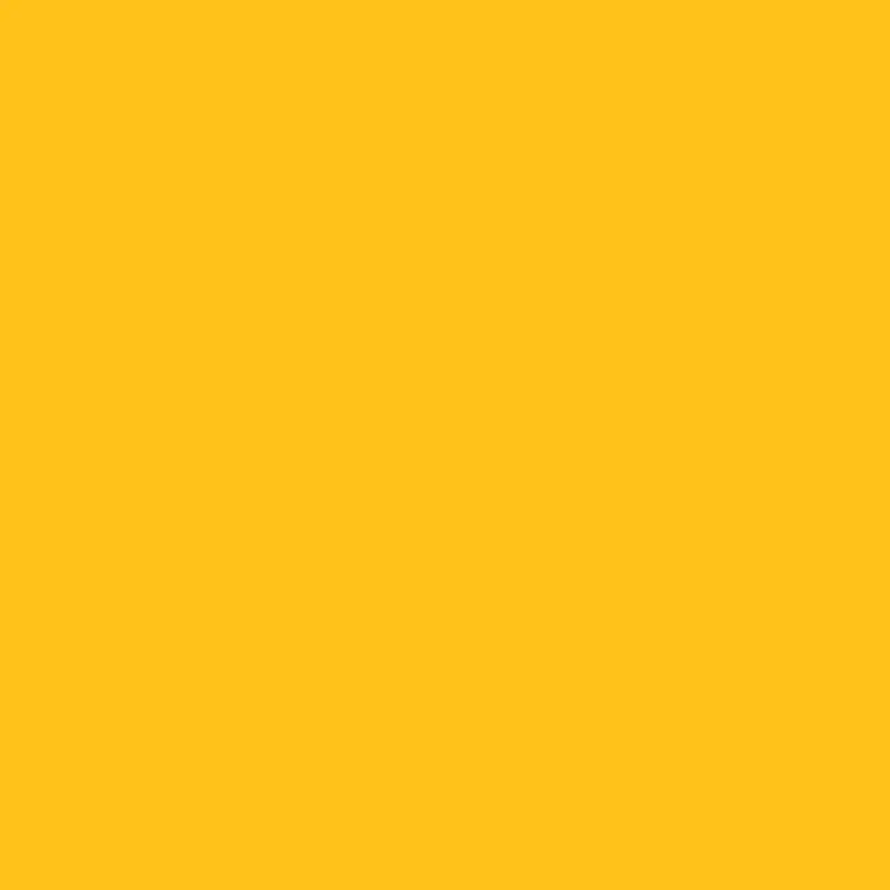 2019 Sunflower Bright Exterior Paint 1