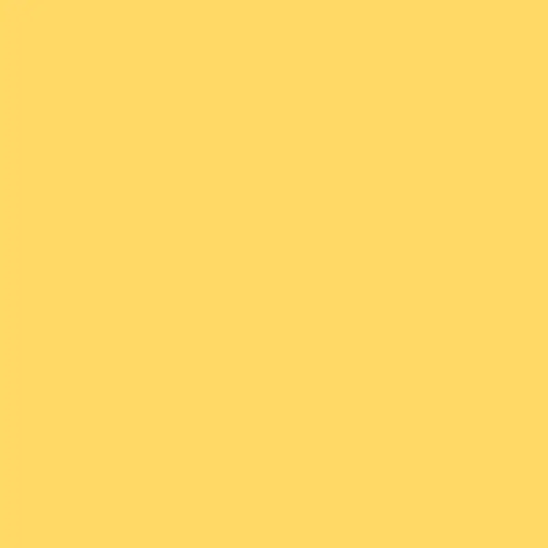 2020 Waterproof Yellow Raincoat 1