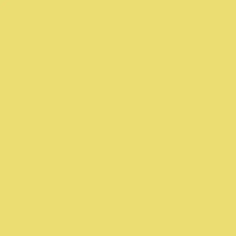 2024 Yellow Finch Cheerful Brightness 1