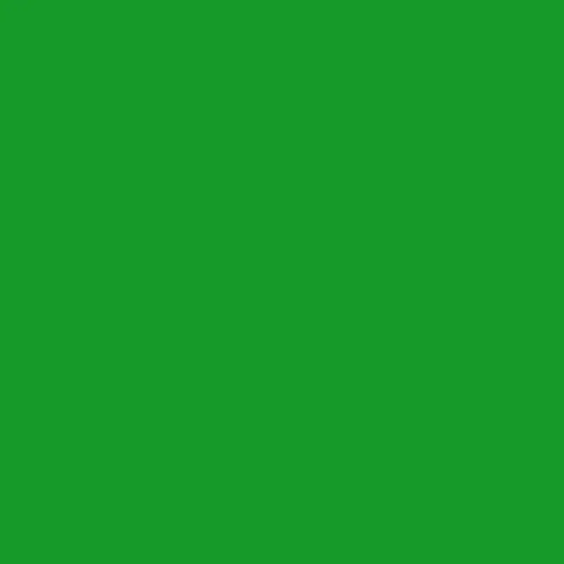 2032-10 Neon Green Bold Paint Color 1
