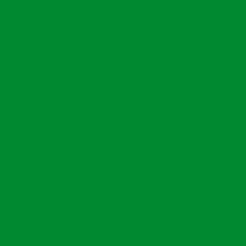 2033-10 Yellow-Green Wall Color 1