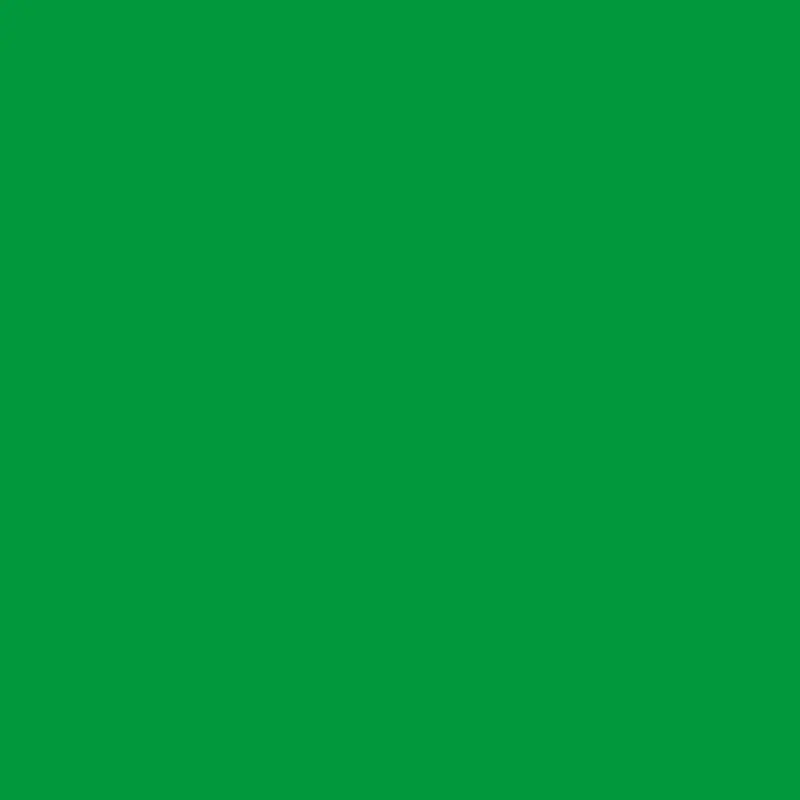 2033-20 Peppermint Leaf Paint Hue 1