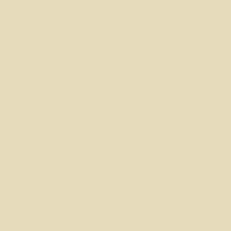 Almond Bisque Delicate Nutty Neutral Paint 1