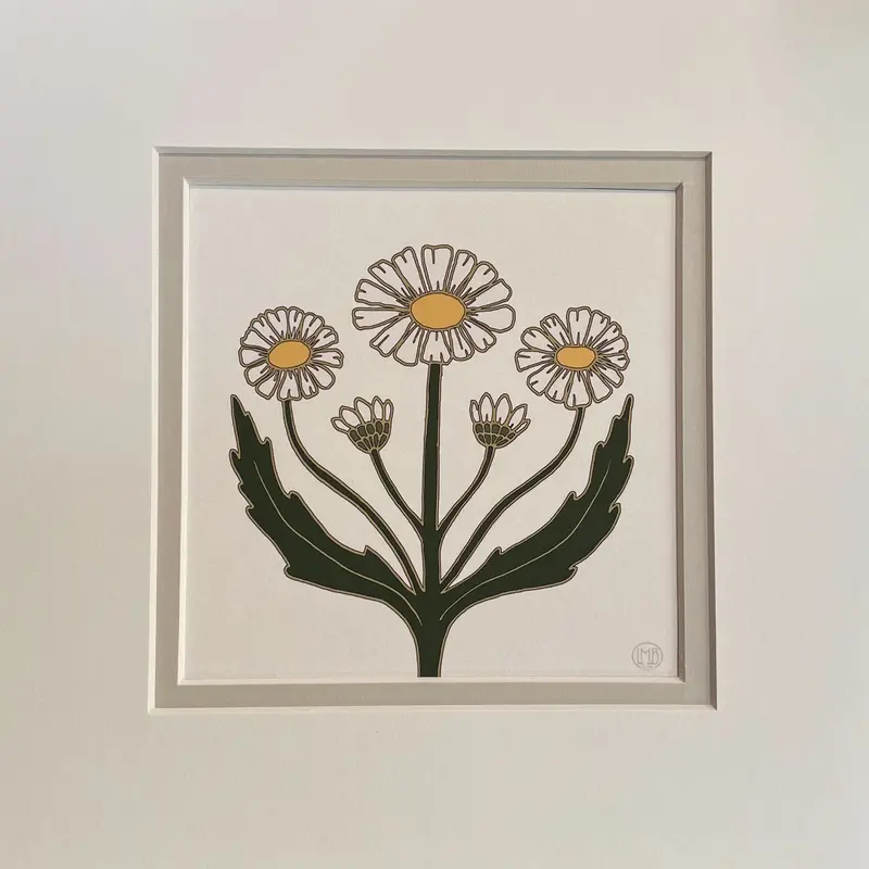 April Birth Flower Art Print – Daisy Botanical Illustration 1