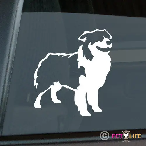 Australian Shepherd Decorative Sticker 1