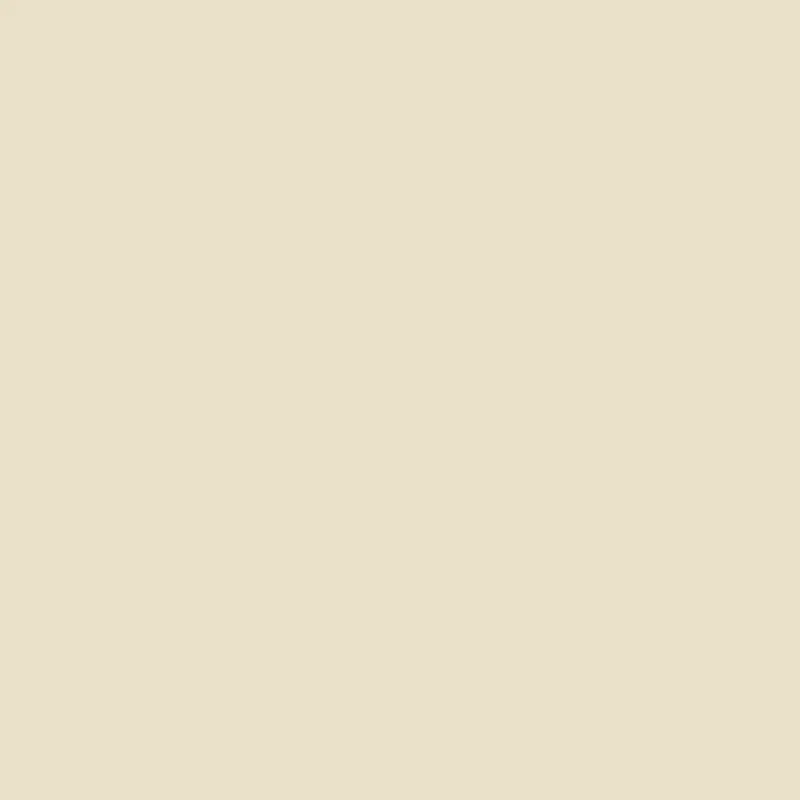 Benjamin Moore 956 Palace White Interior Paint 1