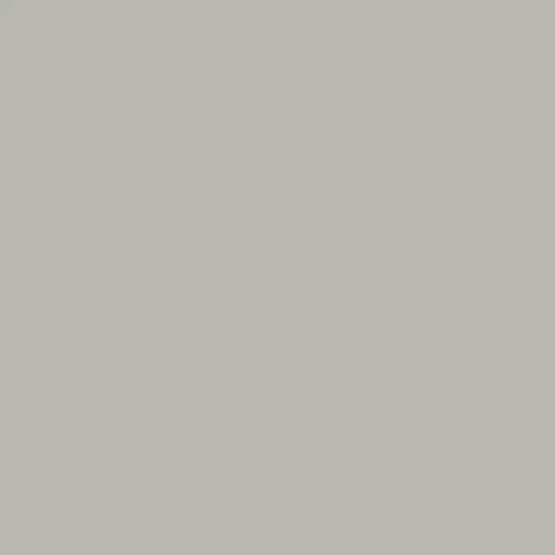 Bone Black Bold Accent Paint – Cw-715 1