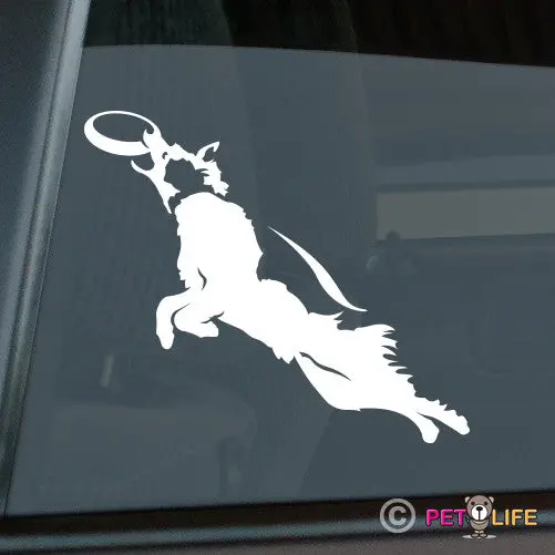 Border Collie Frisbee Disc Dog Sticker – Version 2 Design 1