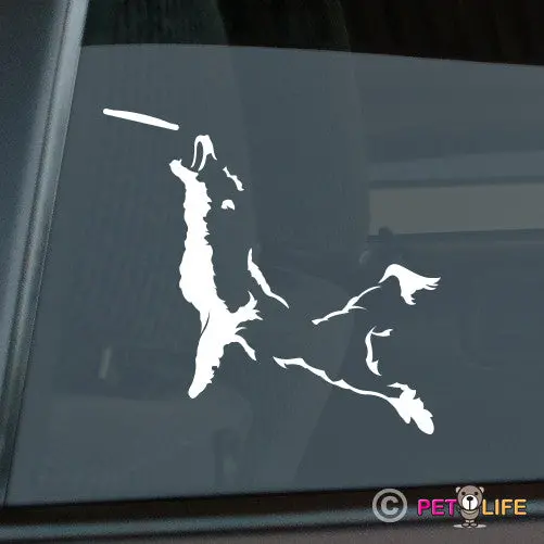 Border Collie Frisbee Disc Dog Sticker – Version 3 Design 1