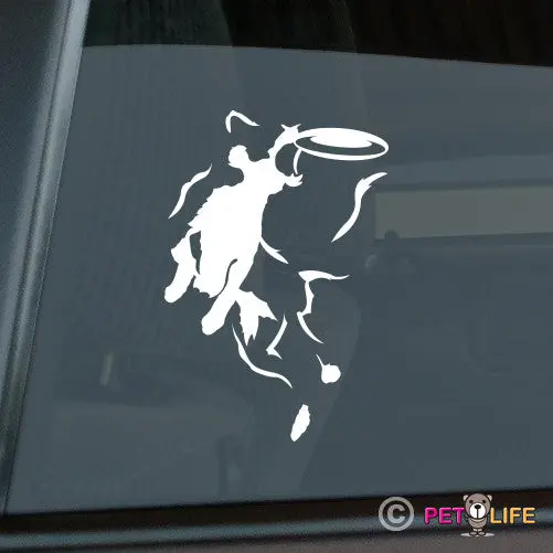 Border Collie Frisbee Disc Dog Sticker – Version 4 Design 1
