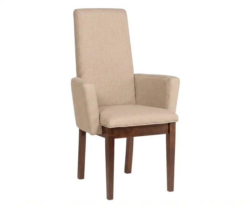 Bradbury Upholstered Arm Chair With Sleek Metal Frame 1