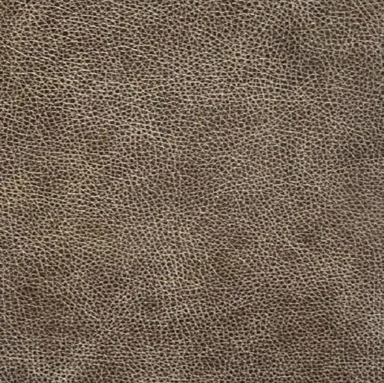 Brooklyn High Plains Aniline Leather Sample 1