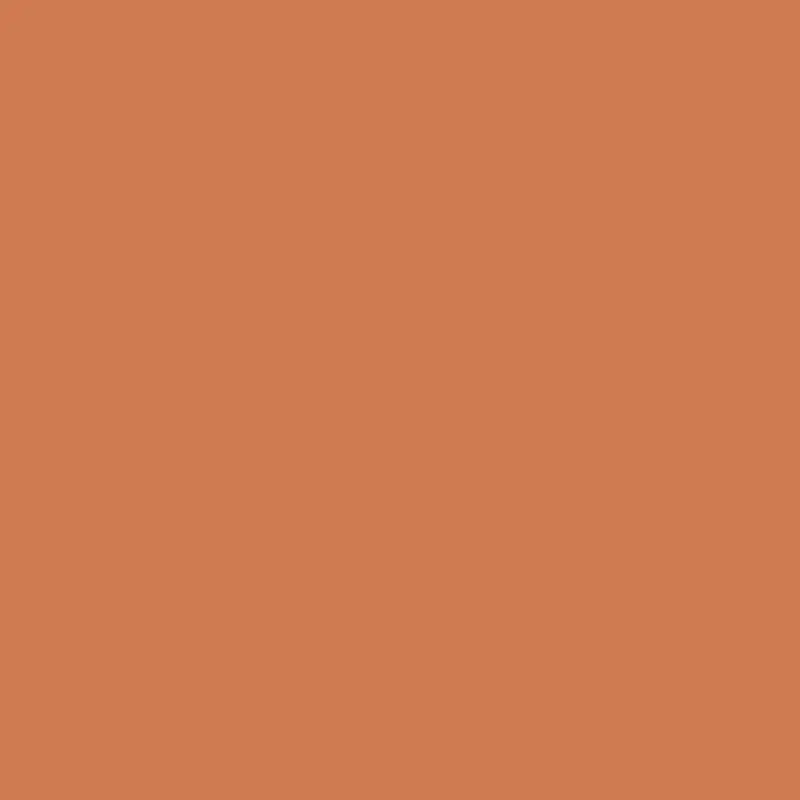 Bryce Canyon Paint Color - Evocative Southwest Hue 1