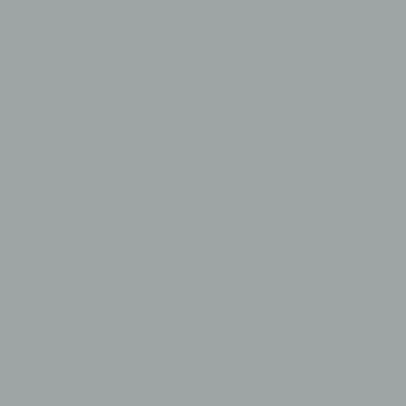 Cobblestone Path Earthy Neutral Gray 1606 1