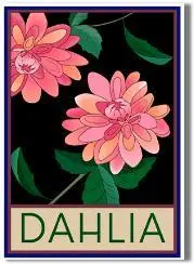 Dahlia Illustration – Stylized Craftsman Botanical Print 1