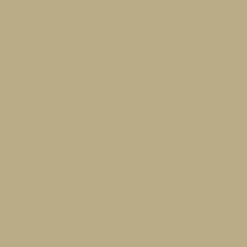 Danville Tan Hc-91 Warm Mid-Tone Paint 1