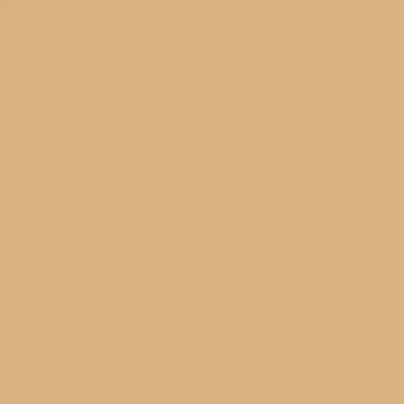 Dark Beige Wall Hue 2165-40 1