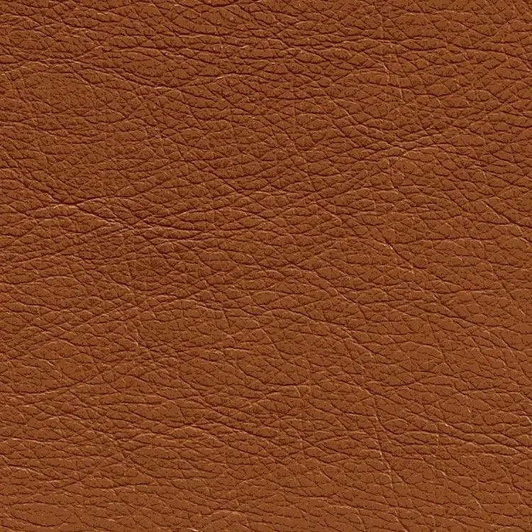 Denver Caramel Protected Plus Leather Sample 1