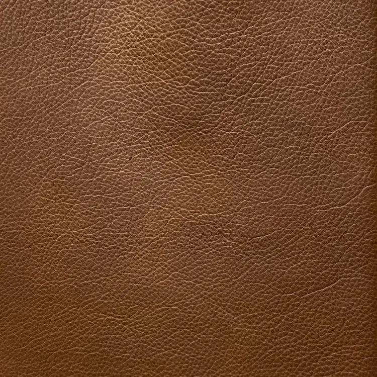 Denver Honey Protected Plus Leather Sample 1