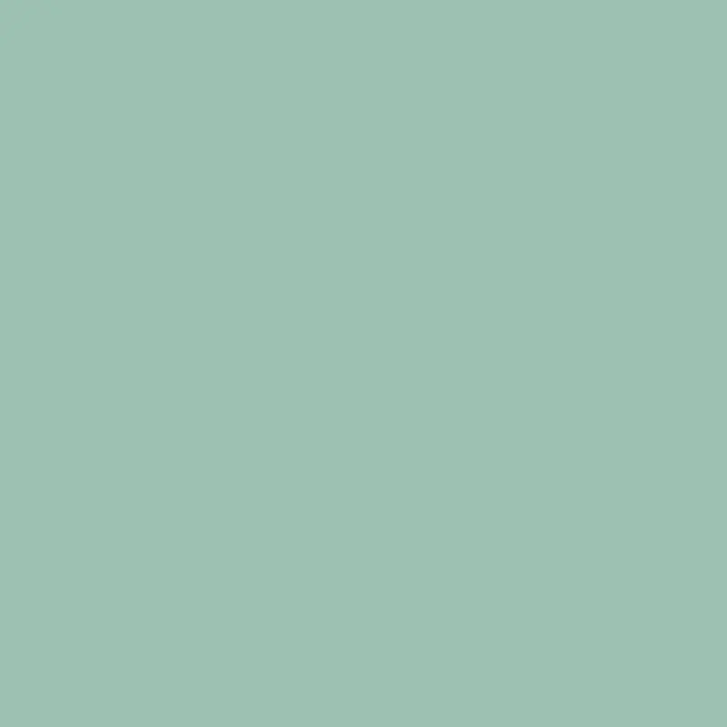 Dreamcatcher Soft Green #640 1