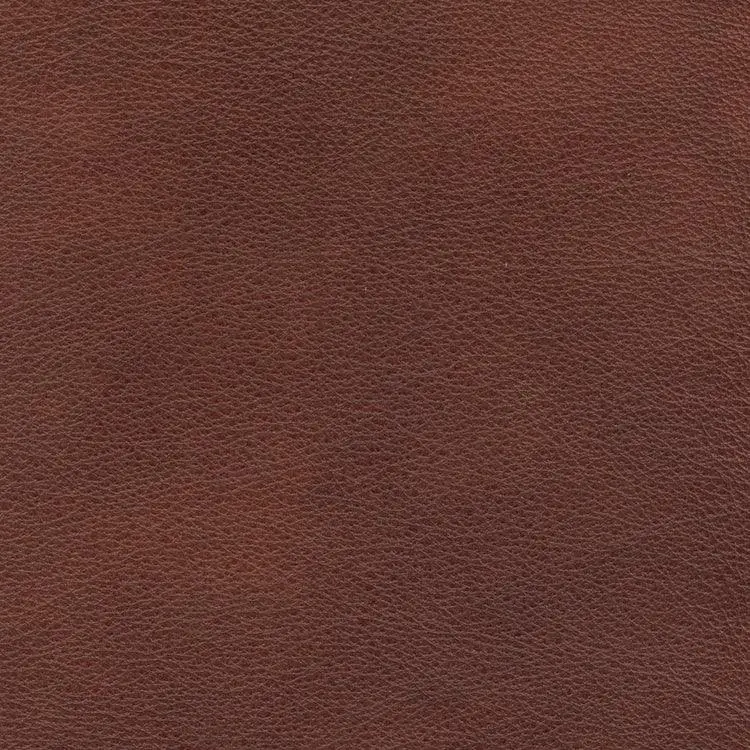 Eugene Aniline Leather Sample – Brick Finish 1