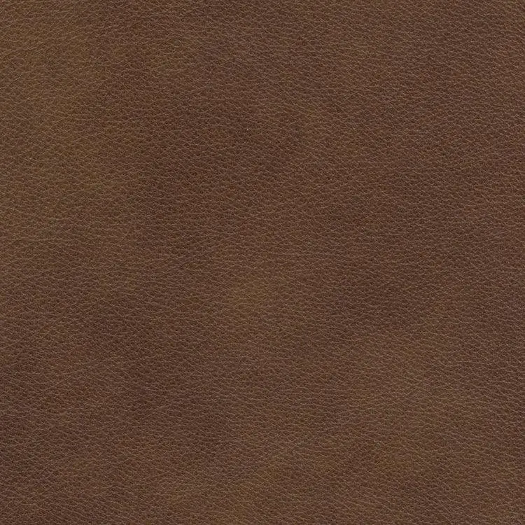 Eugene Aniline Leather Sample – Tumbleweed Finish 1