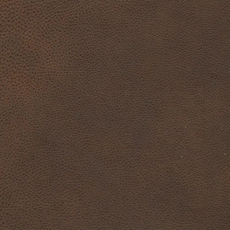 Eugene Aniline Leather Swatch – Cognac Finish 1