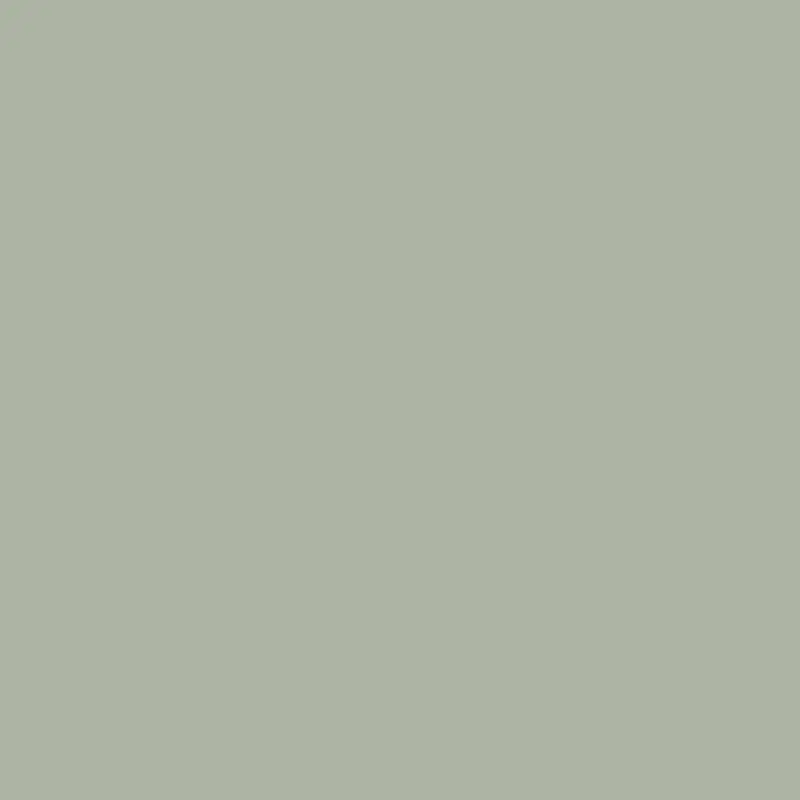Ferndale Green Es-43 - Soothing Sage-Toned Interior Paint 1