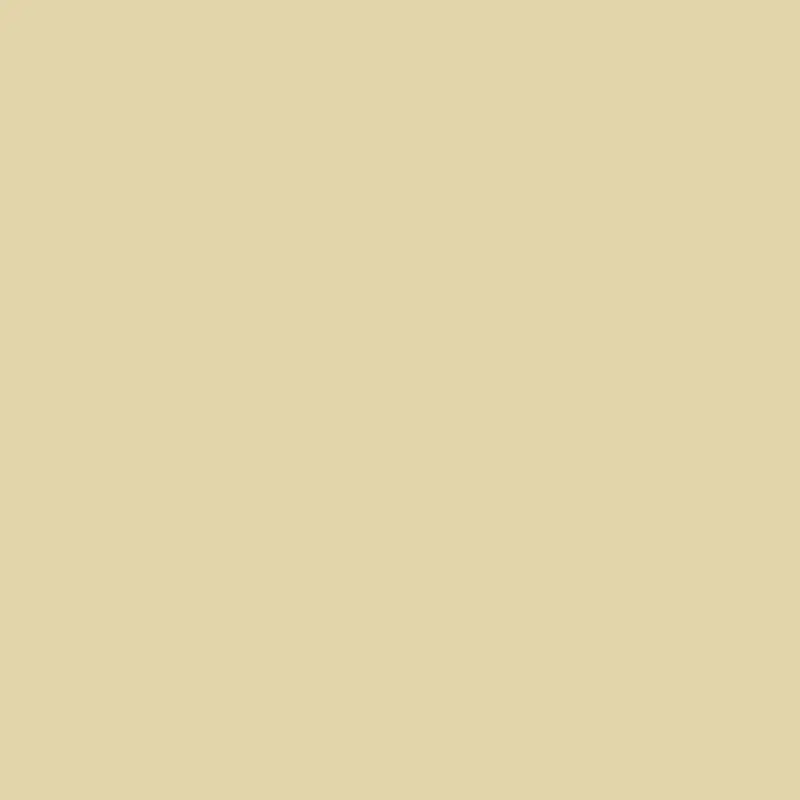 Golden Hills Interior Paint – Rich Earthy Gold Hue 1