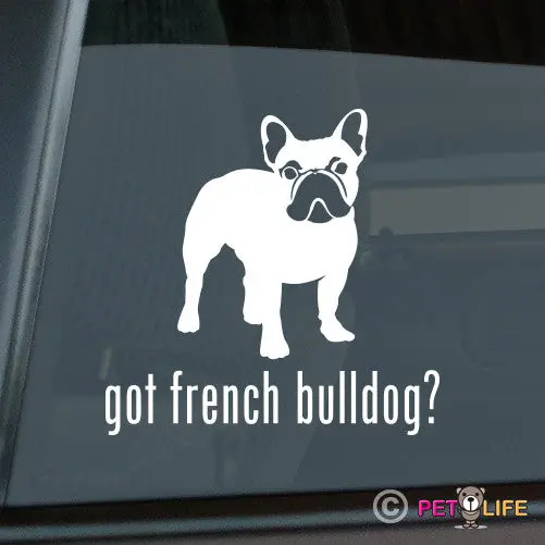 'Got French Bulldog?' Vinyl Decal – Compact, Cute & Confident 1