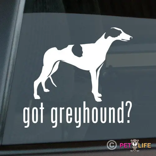 'Got Greyhound' Minimalist Sticker - Clean Canine Tribute 1