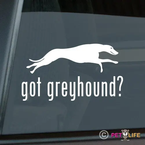 'Got Greyhound' Playful Sticker - Athletic Dog Lover Gift 1