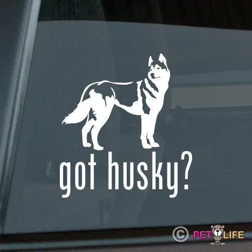 'Got Husky' Humor Sticker - Fun Dog Enthusiast Decal 1