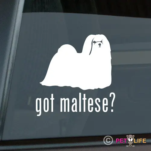 'Got Maltese' Minimalist Sticker - Compact & Cute Canine Design 1