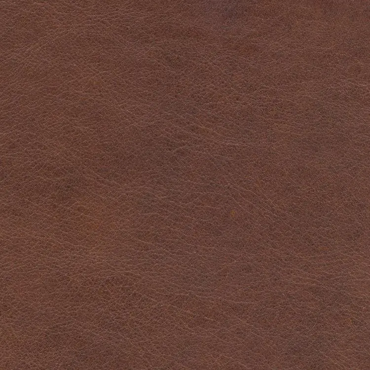 Guanaco West Protected Plus Leather Sample 1