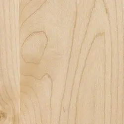 Hard Maple Wood Sample – Natural Finish 1