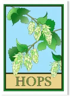 Hops Illustration – Stylized Craftsman Botanical Print 1