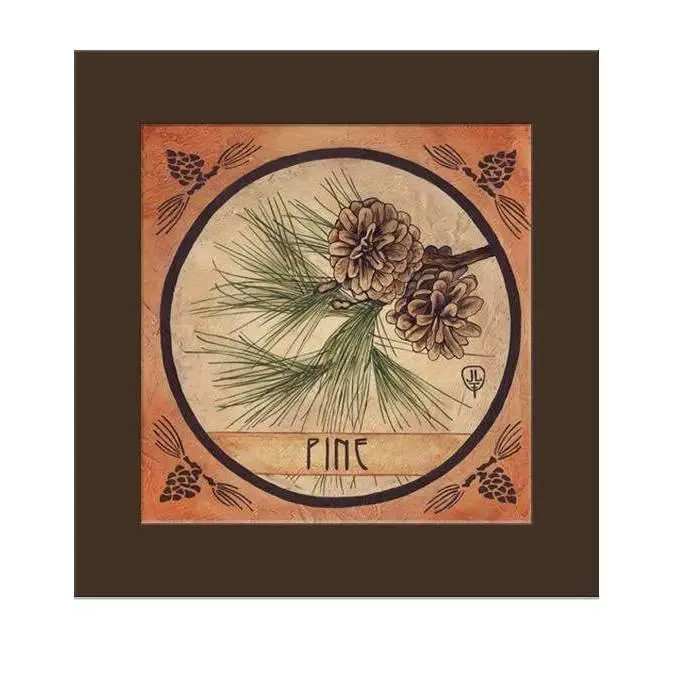 Julie Leidel Pine Botanical Art Print 1