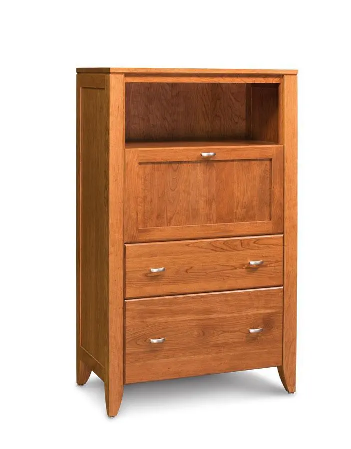 Justine Laptop Cabinet With Secure File Drawer