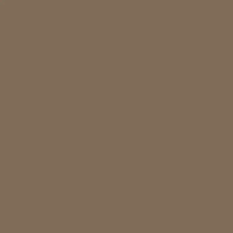 Kentucky Birch Csp-265 Medium Gray-Brown Paint 1