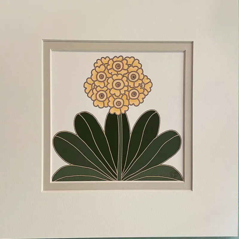 March Birth Flower Art Print – Primrose Botanical Illustration 1