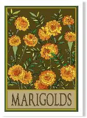 Marigold Illustration – Stylized Craftsman Floral Print 1