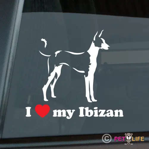 My Ibizan Hound Is My Heart Sticker 1