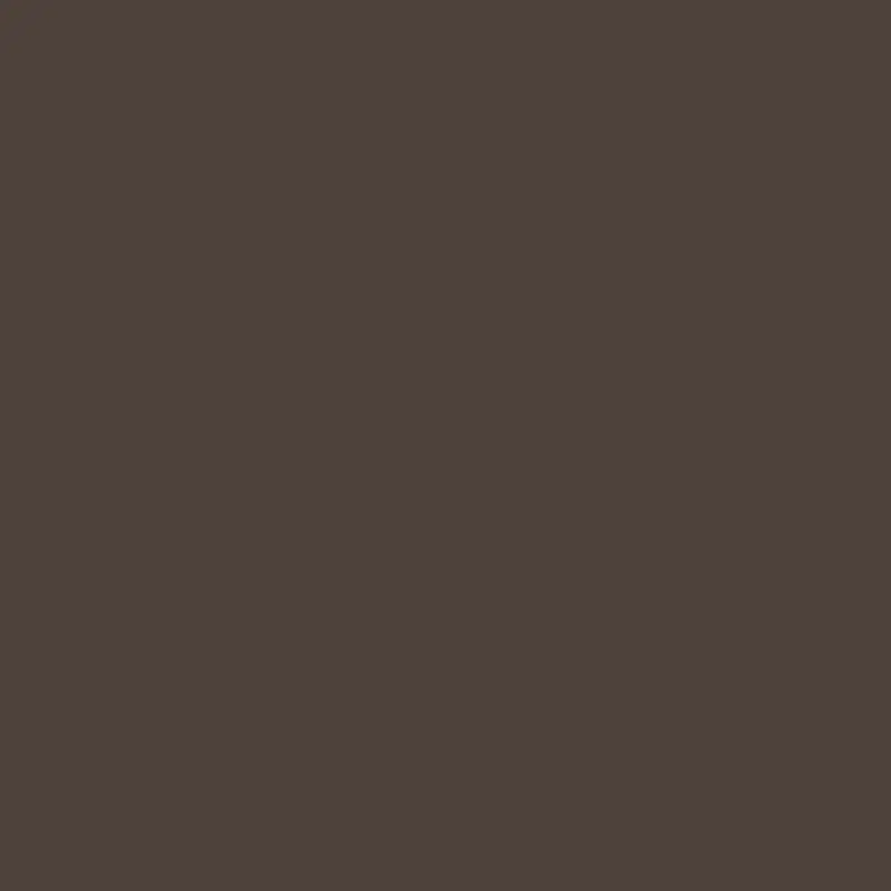 Oxford Brown Es-67 - Rich Earthy Brown Interior Paint 1