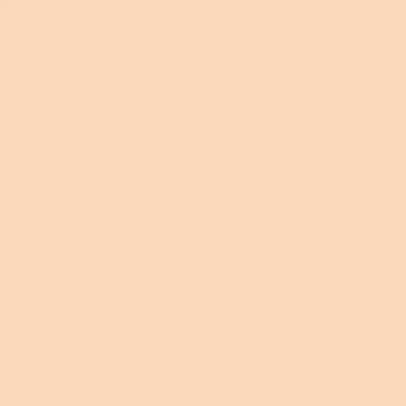 Peach Stone Interior Color - Muted Stone-Inspired Tone 1