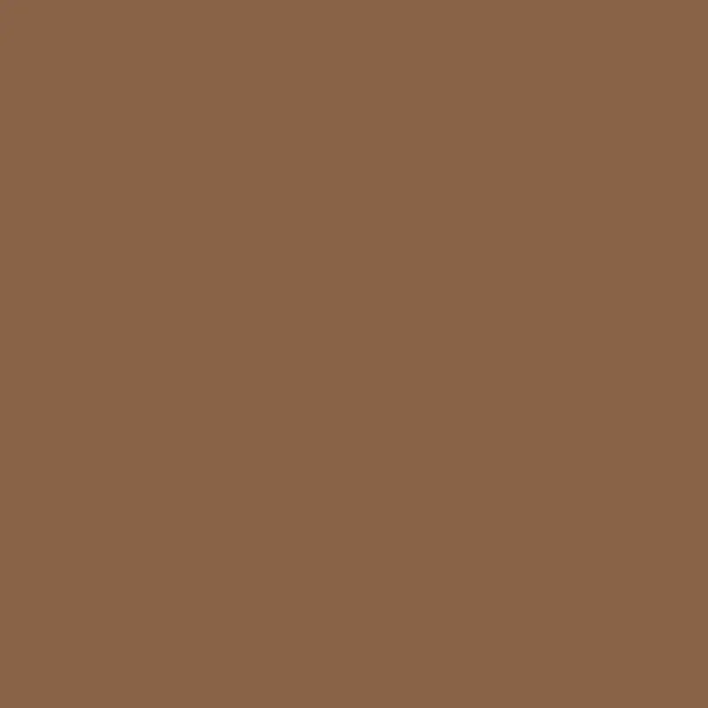 Rich Clay Brown Paint Tone 2164-30 1
