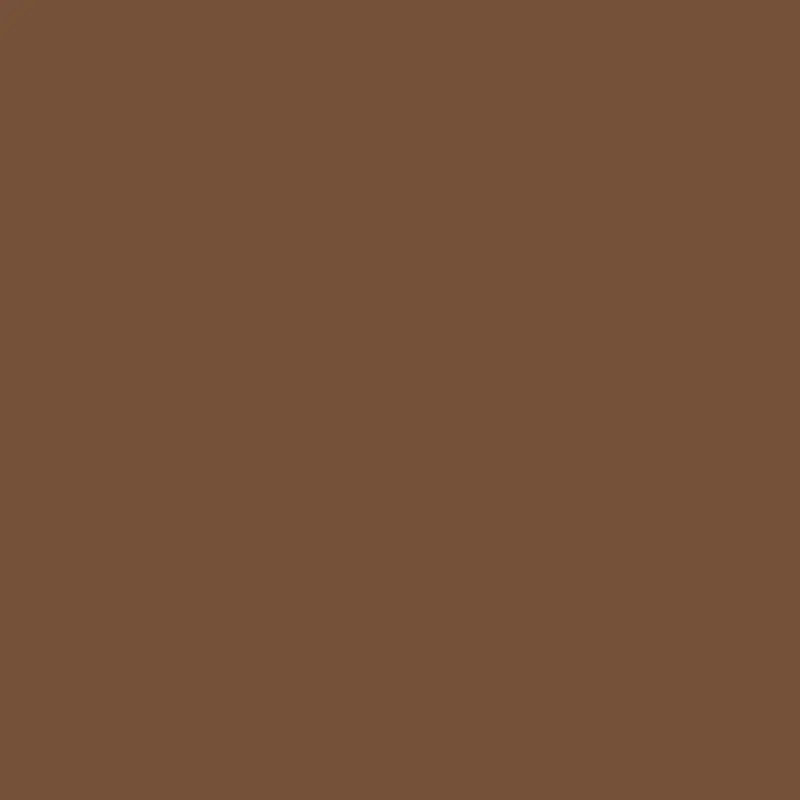 Saddle Brown Wall Paint 2164-10 1