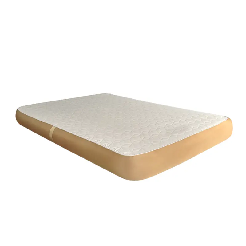 Samtopia Bare-Bones Inflatable Mattress – Coverless, Lightweight Design 1