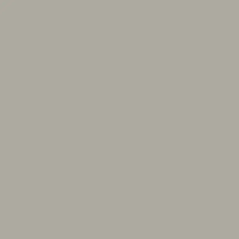 Sea Gull Gray Es-72 - Coastal-Inspired Light Gray Paint 1